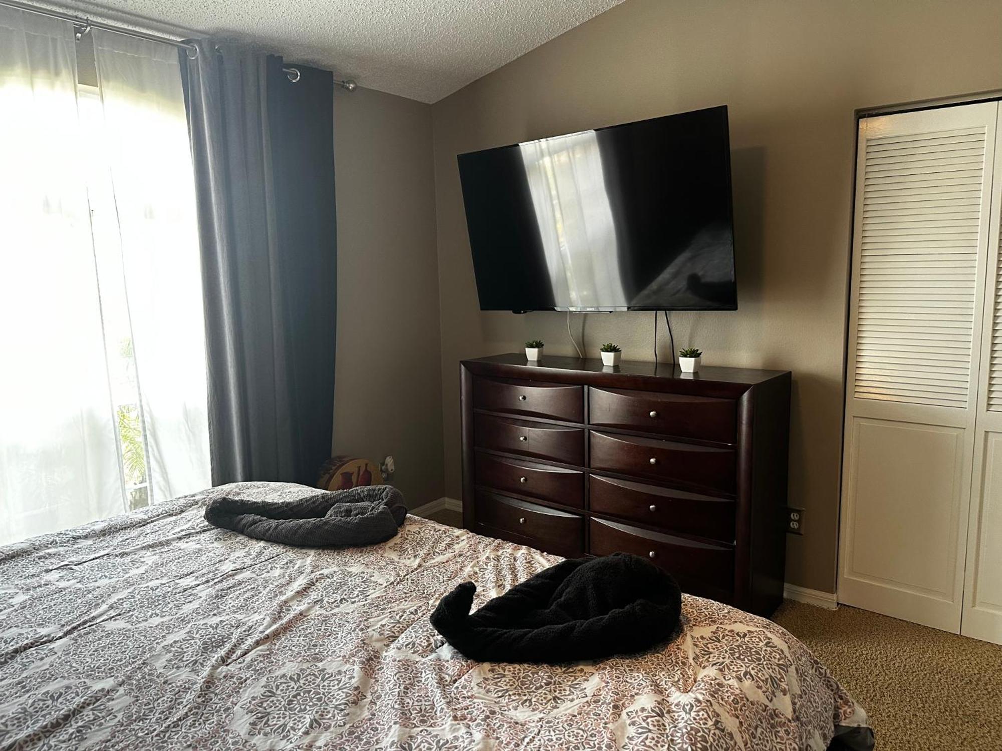 Cozy 3 Bedroom Home Close To Everything In Tampa! Екстериор снимка